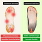 Chaussure Barefoot - Dynamique Pro - Semello.fr